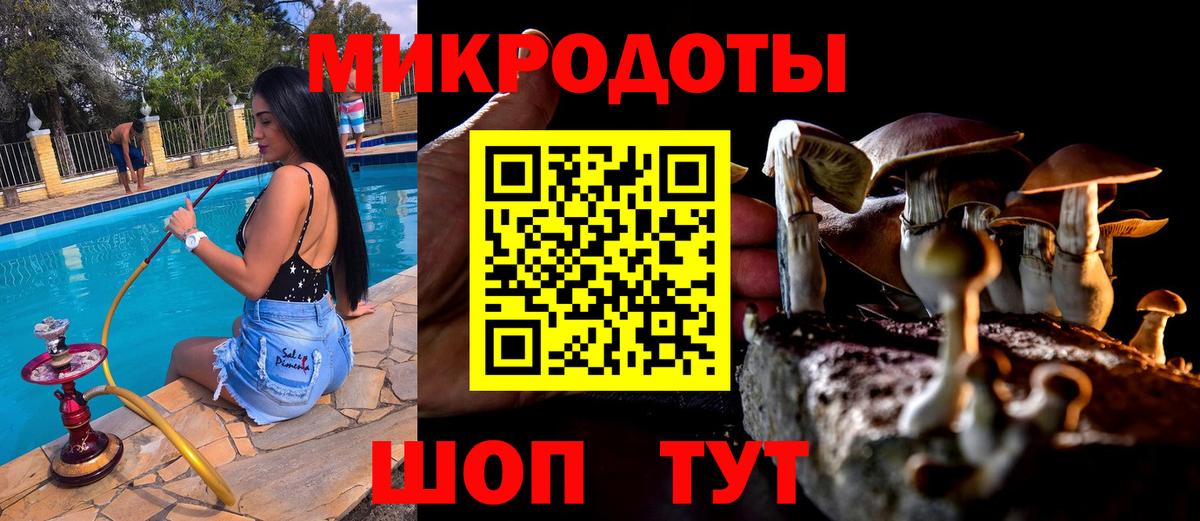 Псилоцибиновые грибы GOLDEN TEACHER Люберцы