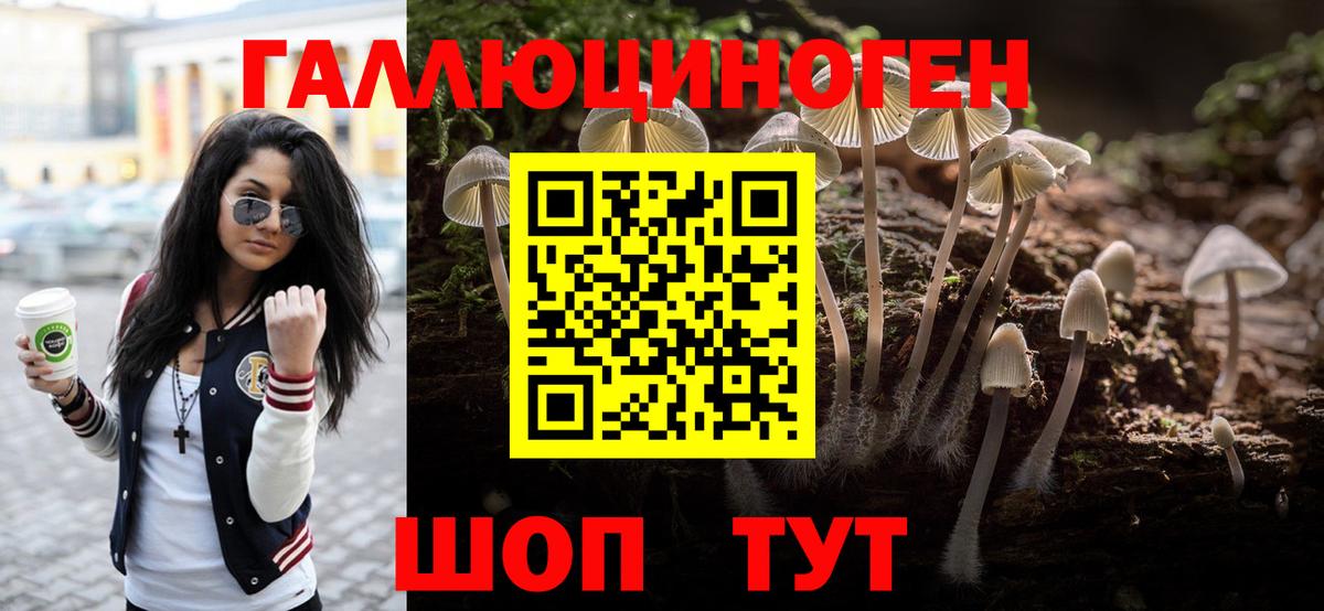 Люберцы  Псилоцибиновые грибы Psilocybe  Галлюциногенные грибы Psilocybine cubensis  Вход с VPN 